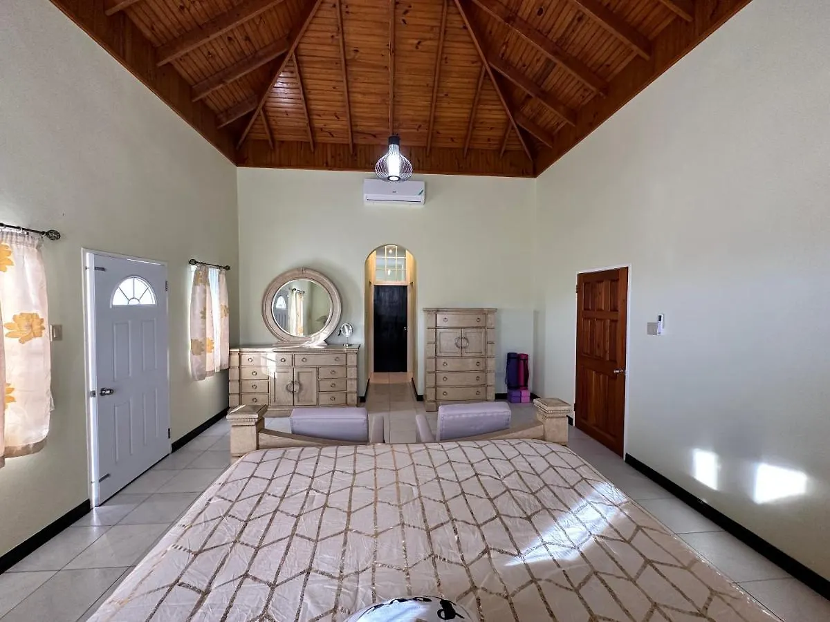 A Luxurious 4-Bedroom Private Villa With Games Room, Theatre & Modern Art モンテゴ・ベイ