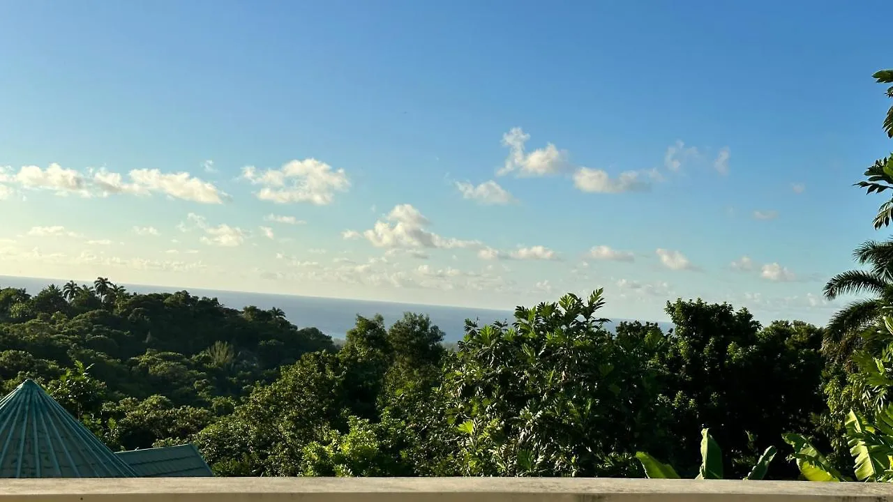A Luxurious 4-Bedroom Private Villa With Games Room, Theatre & Modern Art モンテゴ・ベイ