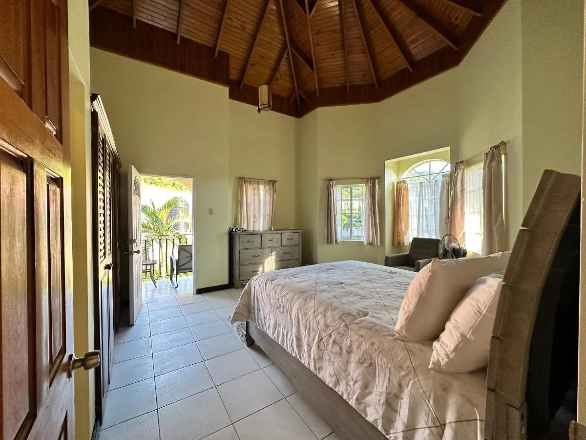 A Luxurious 4-Bedroom Private Villa With Games Room, Theatre & Modern Art モンテゴ・ベイ ジャマイカ